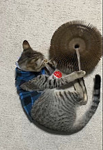 Cargar imagen en el visor de la galería, Rascador plegable con Pelota Interactiva 🐾🐱