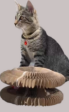 Cargar imagen en el visor de la galería, Rascador plegable con Pelota Interactiva 🐾🐱