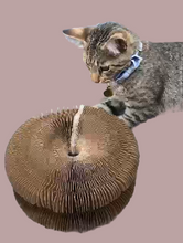 Cargar imagen en el visor de la galería, Rascador plegable con Pelota Interactiva 🐾🐱