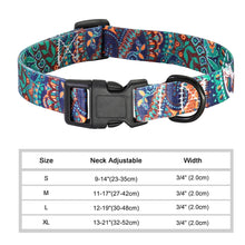 Cargar imagen en el visor de la galería, 45604184981757|45604185014525|45604185374973|45604185407741
