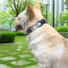 Cargar imagen en el visor de la galería, Collar bordado colorido 🐾🐶🐱💫