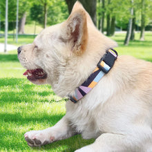 Cargar imagen en el visor de la galería, Collar bordado colorido 🐾🐶🐱💫