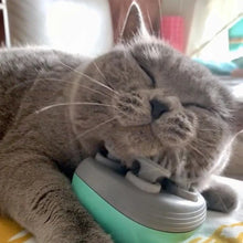 Cargar imagen en el visor de la galería, Masajeador eléctrico para Gatos Y Perros 🐾🐶🐱