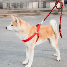Cargar imagen en el visor de la galería, Arnés con correa 🐶