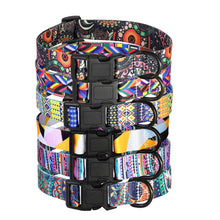 Cargar imagen en el visor de la galería, Collar bordado colorido 🐾🐶🐱💫