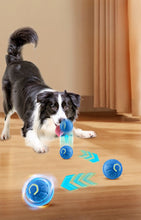 Cargar imagen en el visor de la galería, Pelota interactiva recargable 🐾🐶🐱