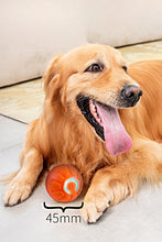 Cargar imagen en el visor de la galería, Pelota interactiva recargable 🐾🐶🐱