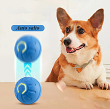 Cargar imagen en el visor de la galería, Pelota interactiva recargable 🐾🐶🐱