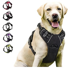 Cargar imagen en el visor de la galería, Arnés súper dog 🐕

