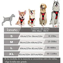 Cargar imagen en el visor de la galería, Arnés súper dog 🐕
